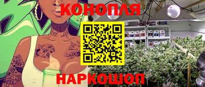 прущий лед Будённовск