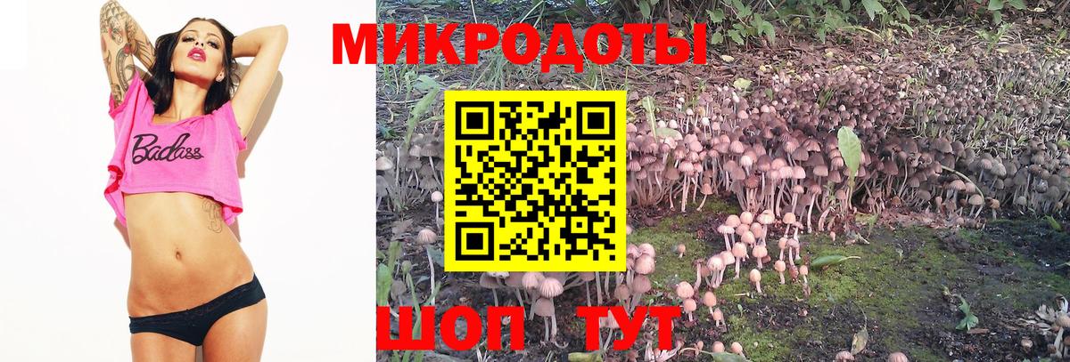 Старый Оскол  Псилоцибиновые грибы Magic Shrooms  Вход с VPN 